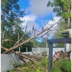 Storm-damaged tree down against a childcare centre fence